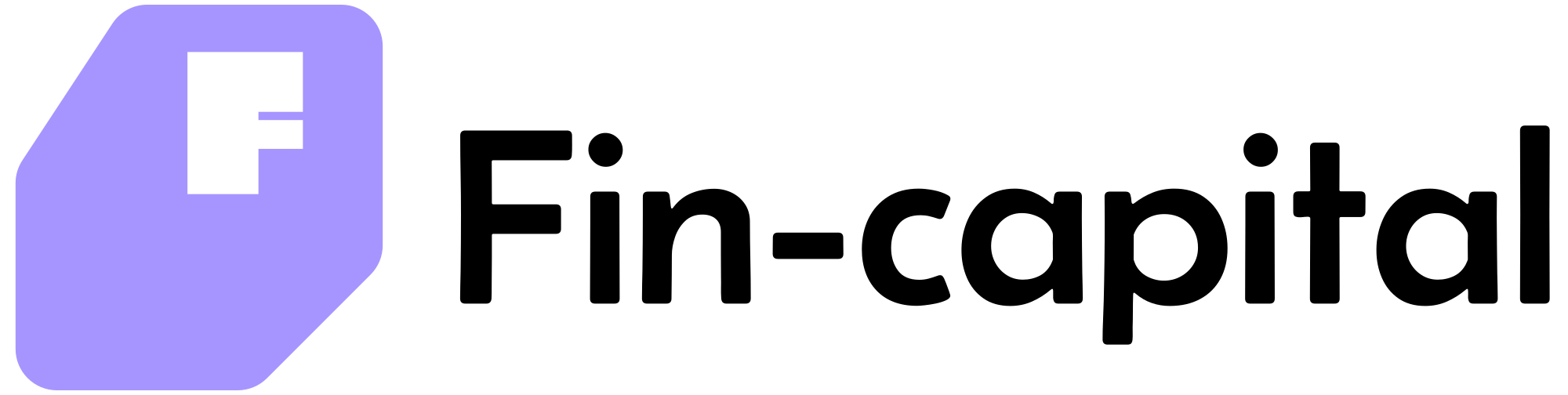 Fin-capital